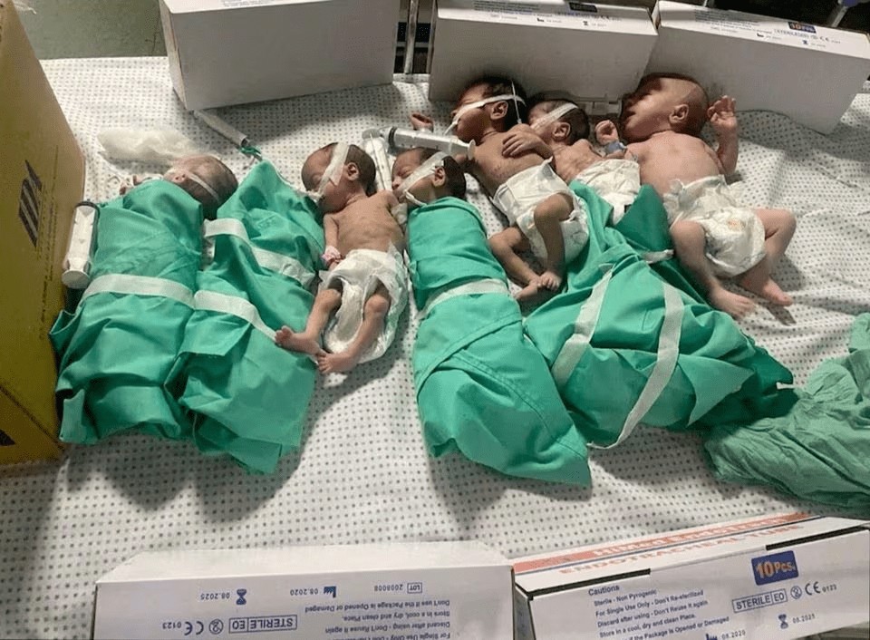 加沙最大医院断电停运 多名早产儿缺氧死亡