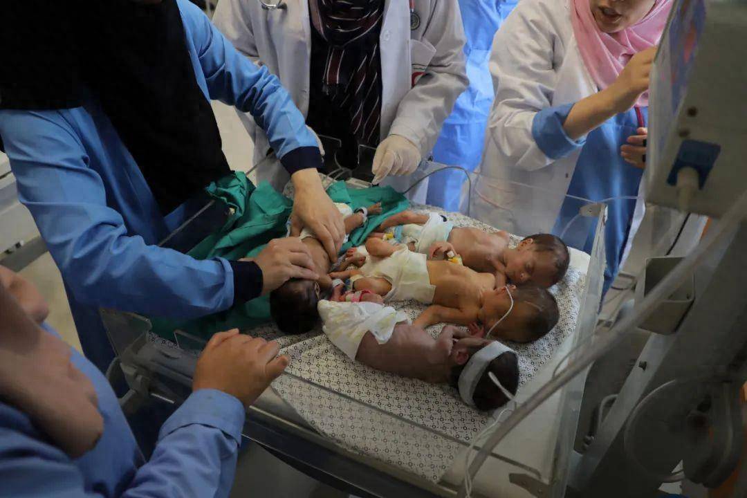 加沙一家41口死于空袭 希法医院31名早产儿获转移